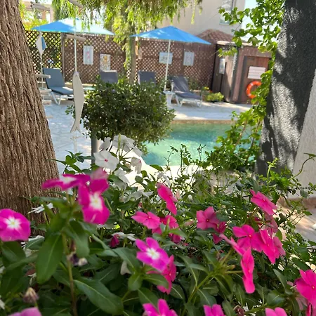 Gemuetlich-modernes Ferienhaus-2 Schlafz-privater Pool-garten-5min Bis Coral Bay Peyia